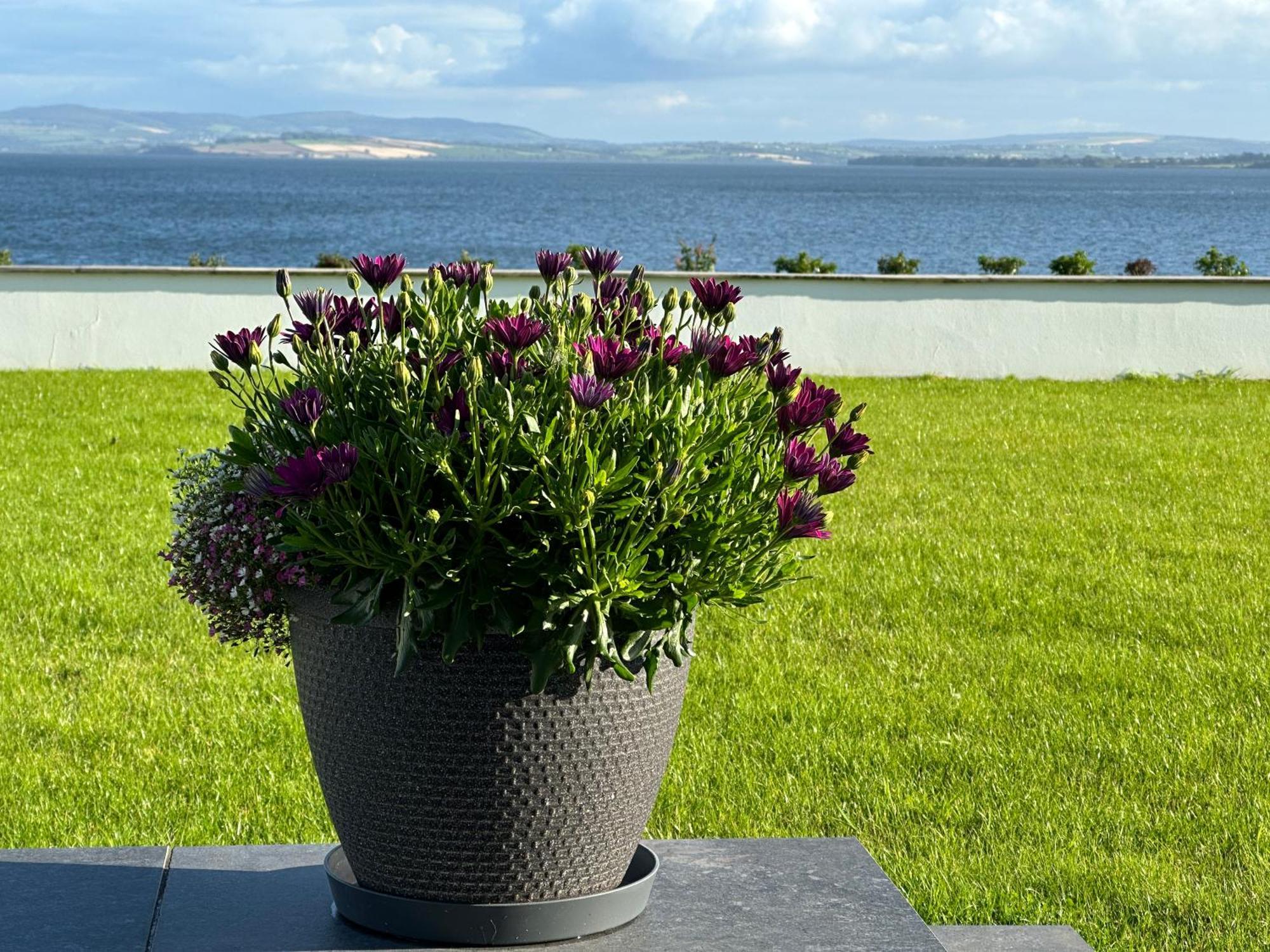 Holiday home Sea Vista - *