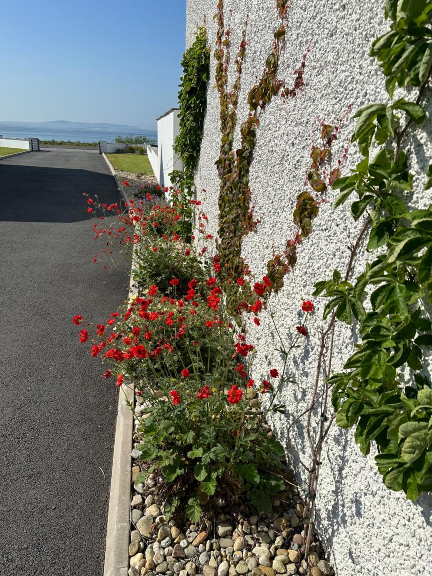 Sea Vista -